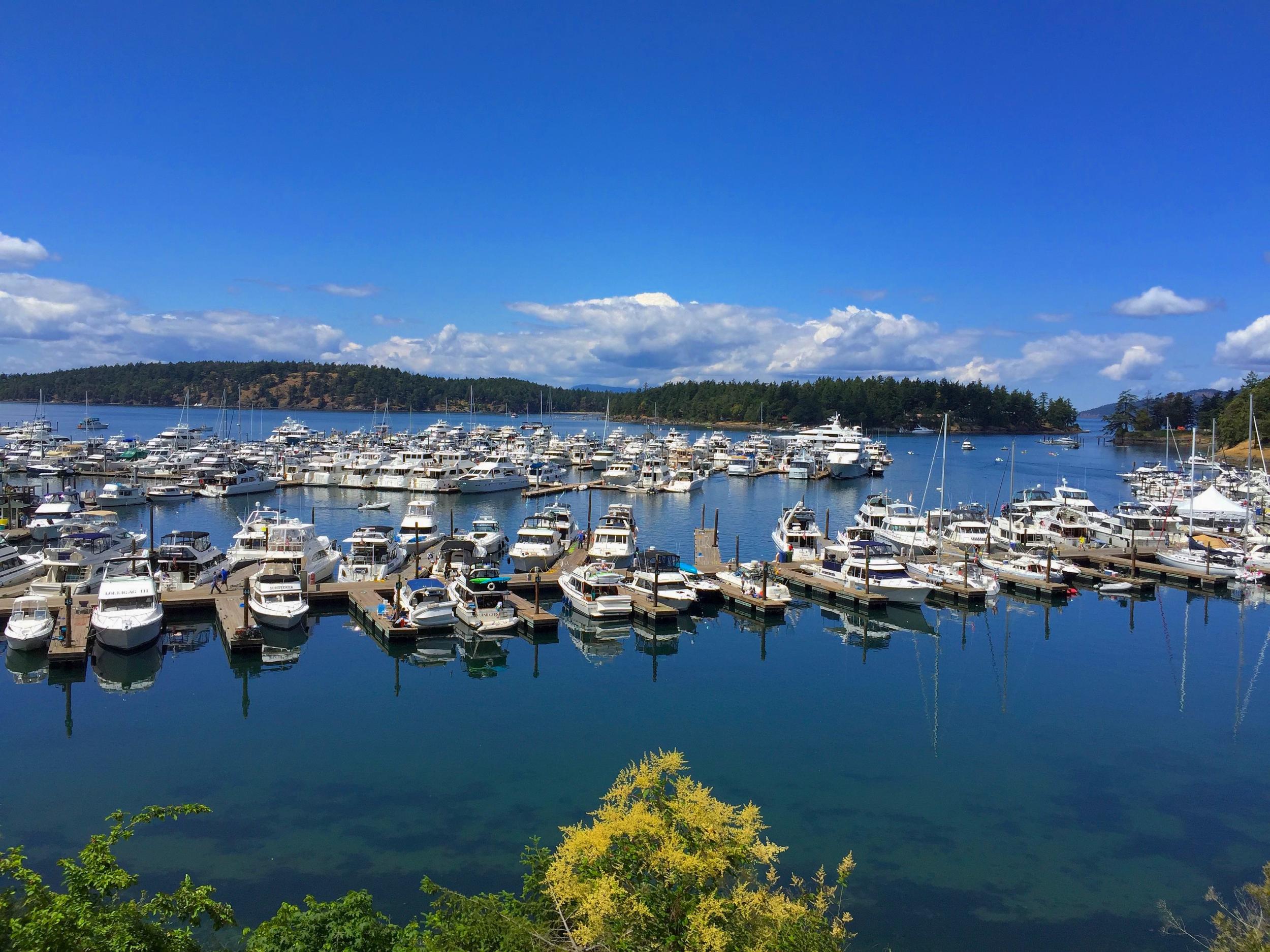 5 Awesome Places to go Swimming on San Juan Island | Earthbox Inn