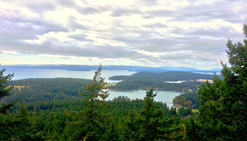 5 Stunning Spring Hikes on San Juan Island | Earthbox Inn