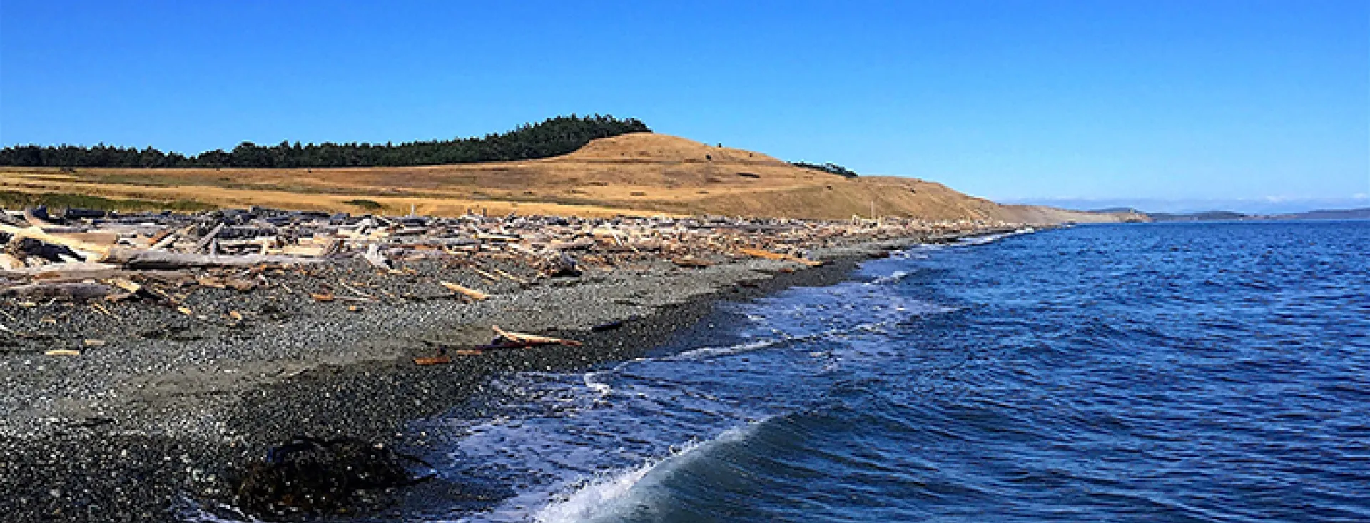 Beautiful South Beach on San Juan Island Beautiful South Beach on San Juan Island