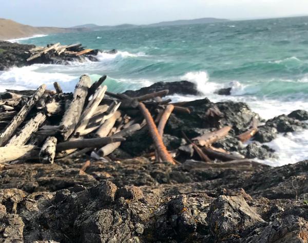 San Juan Island, Washington