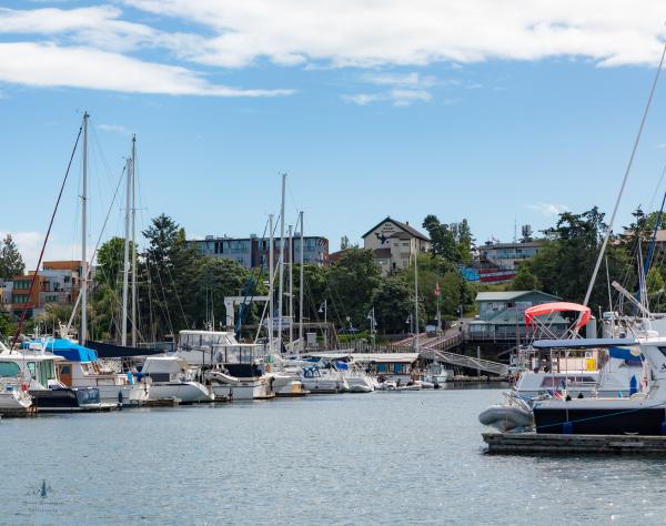 Friday Harbor, Washington
