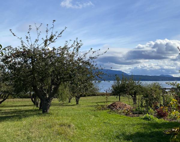 San Juan Island, Washington