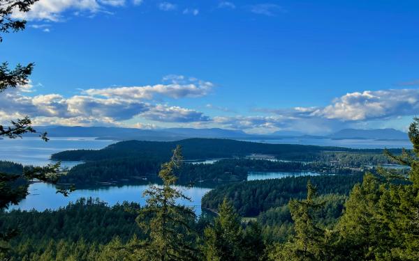 Favorite Hikes with Giant Views on San Juan Island | Earthbox Inn