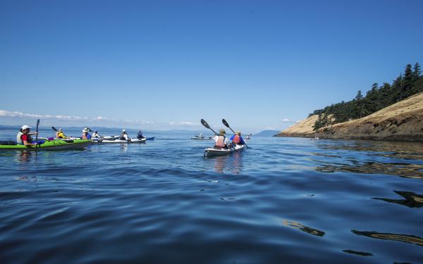 How to Prepare for Your Kayak Tour - San Juan Kayak Expeditions